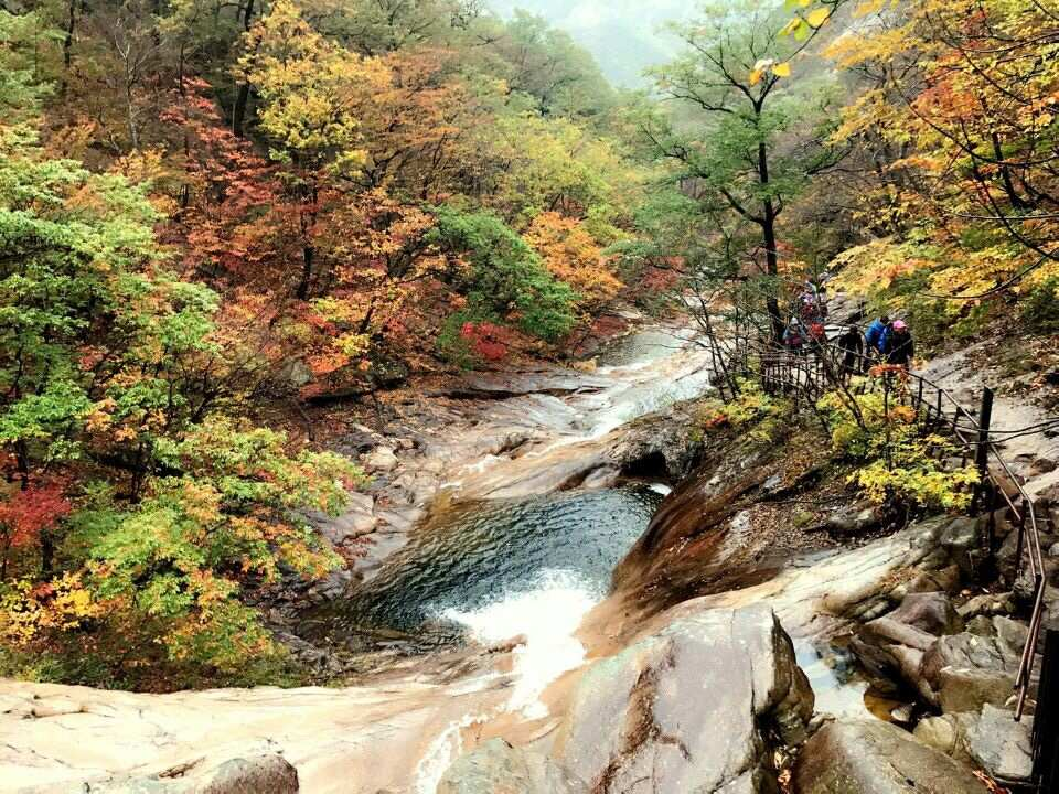 Gangwon Province, South Korea | Seoraksan National Park Autumn Foliage Viewing Day Trip | Departing from Seoul - Photo 1 of 9